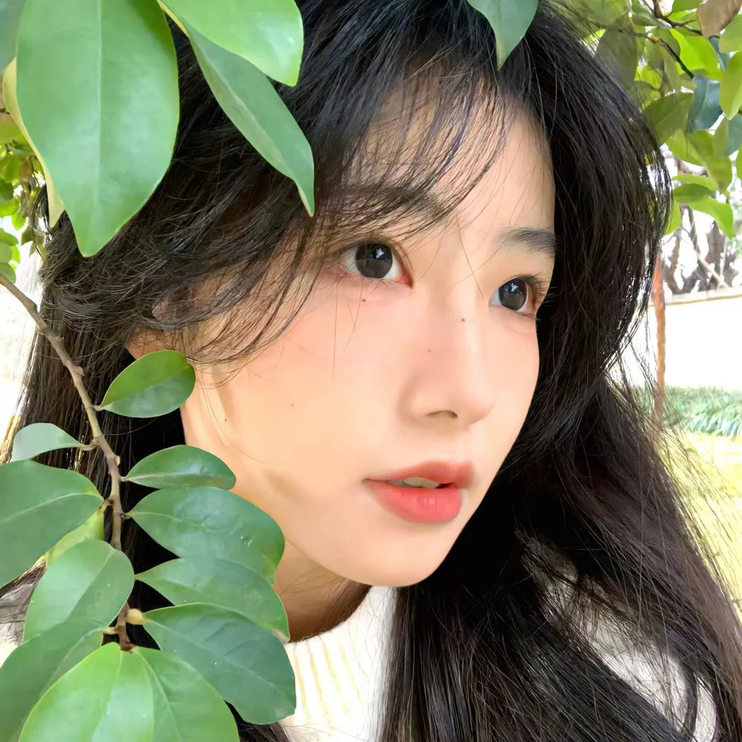 风流模特儿